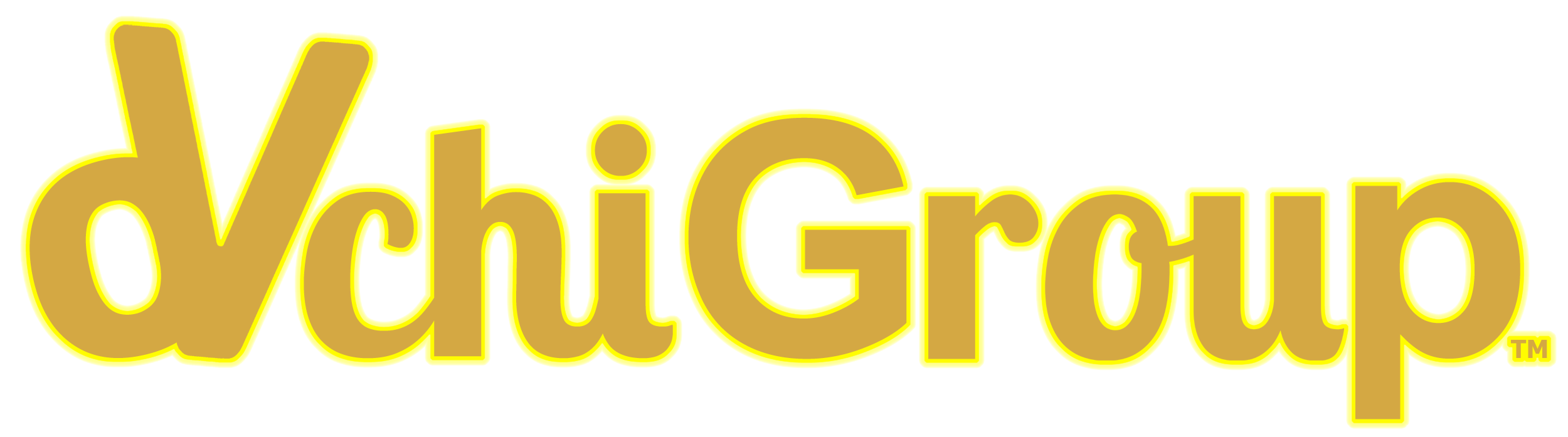 DVchiGroup.com